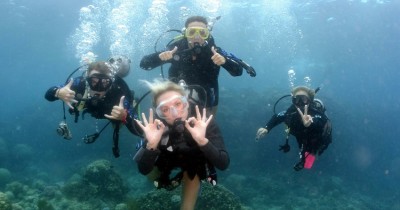 Diving Tour